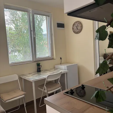 Comfort Apartment *